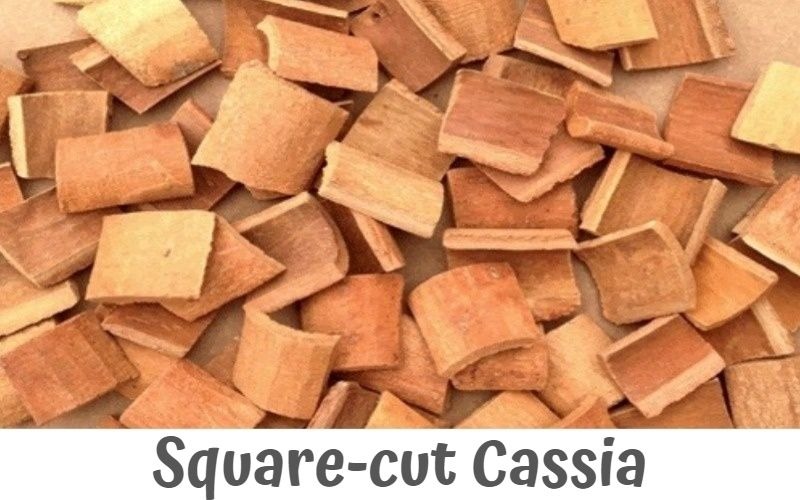 Square-cut Cassia