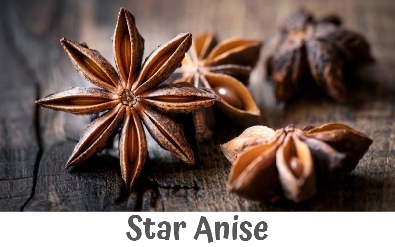 star anise, star anise autumn crop, star anise spring crop, vietnam star anise, hand-picked, broken star anise, coarse cut, fine cut, tbc, pbc, powder