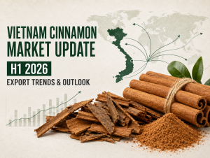 Vietnam Cinnamon Market H1 2026.png